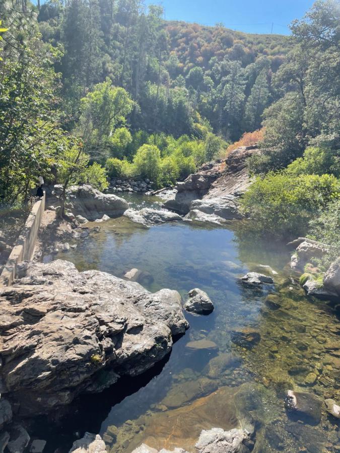 Yosemite Escapes - Pine Mountain Lake Groveland Extérieur photo