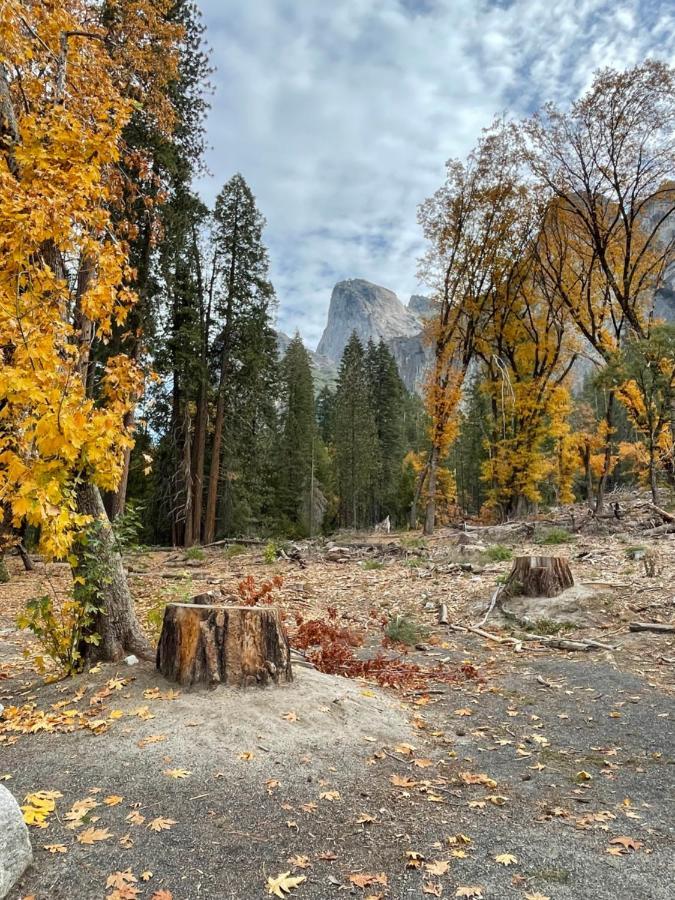 Yosemite Escapes - Pine Mountain Lake Groveland Extérieur photo